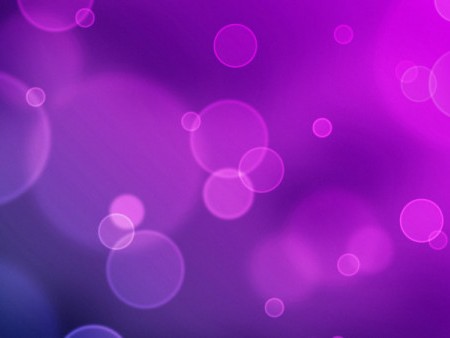 颜色什么紫：带你走进紫色的神秘花园