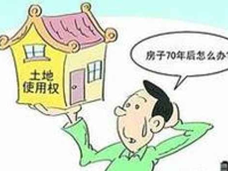 探索蜜蜂的奥秘与意义