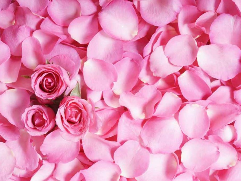 粉色整理术让杂乱去无踪这些好物和技巧你知道吗