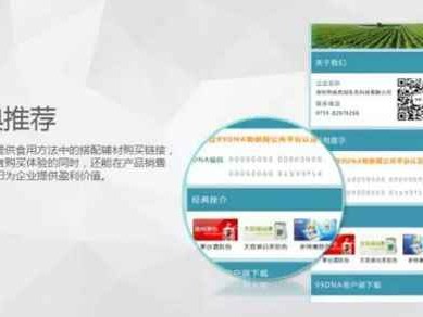 NA到底是什么牌子？看完这篇你就全明白了