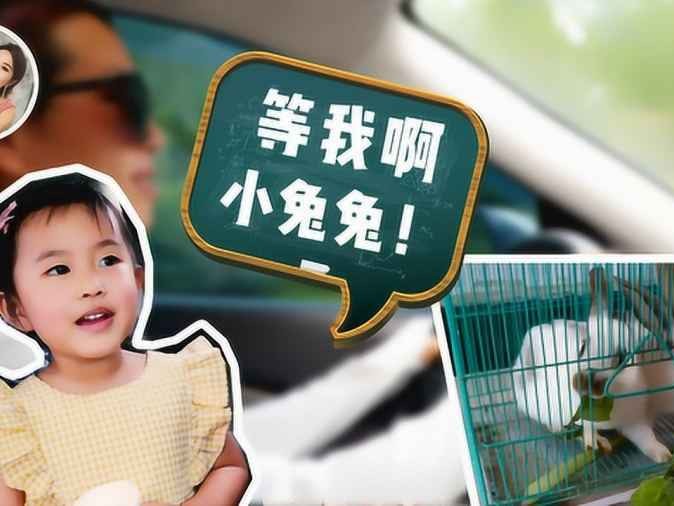 出门玩带啥 这份清单让你不再抓瞎